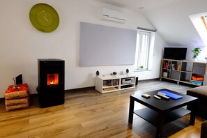 TV, fireplace, books
