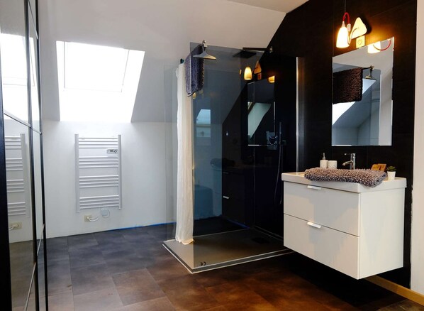 Shower, hair dryer, towels