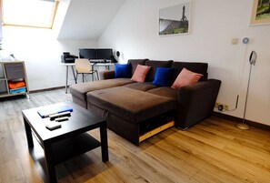 TV, fireplace, books