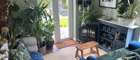 Smart TV, fireplace, books