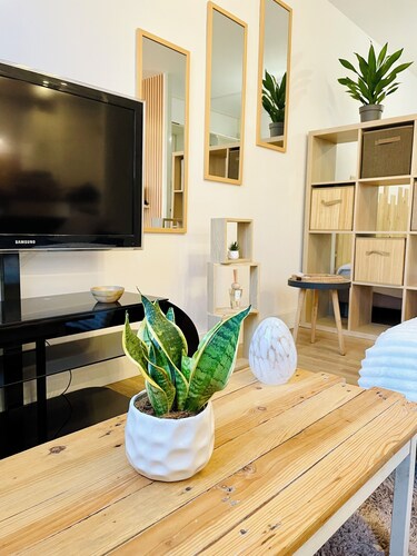 Grand studio Ô Joie plein centre ville