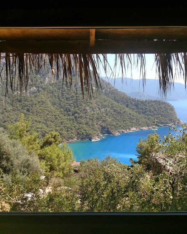 A view of a coastal landscape with dense greenery and a clear blue sea.
