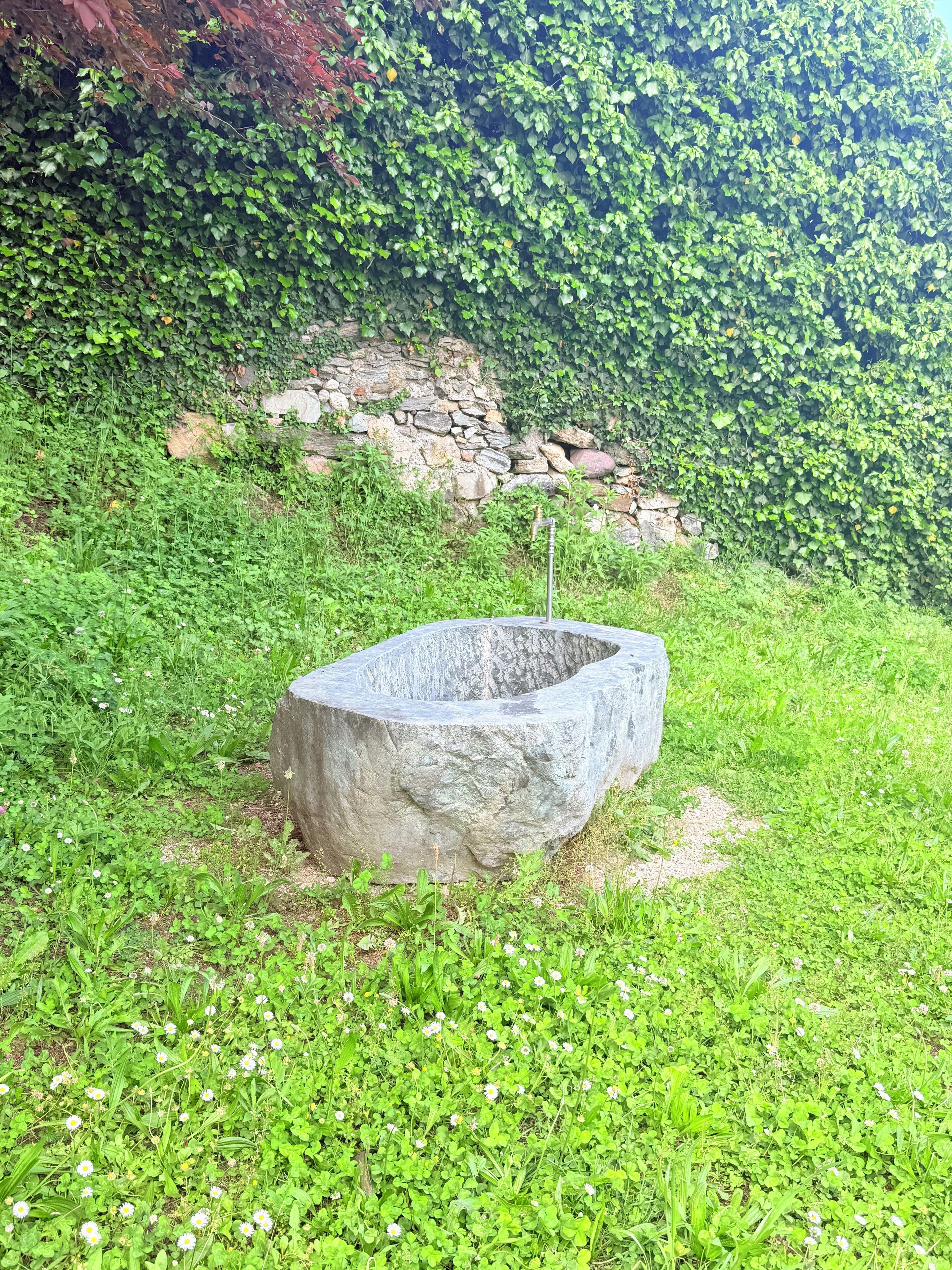 Un pozo de piedra rodeado de abundante vegetación y un muro de piedra.