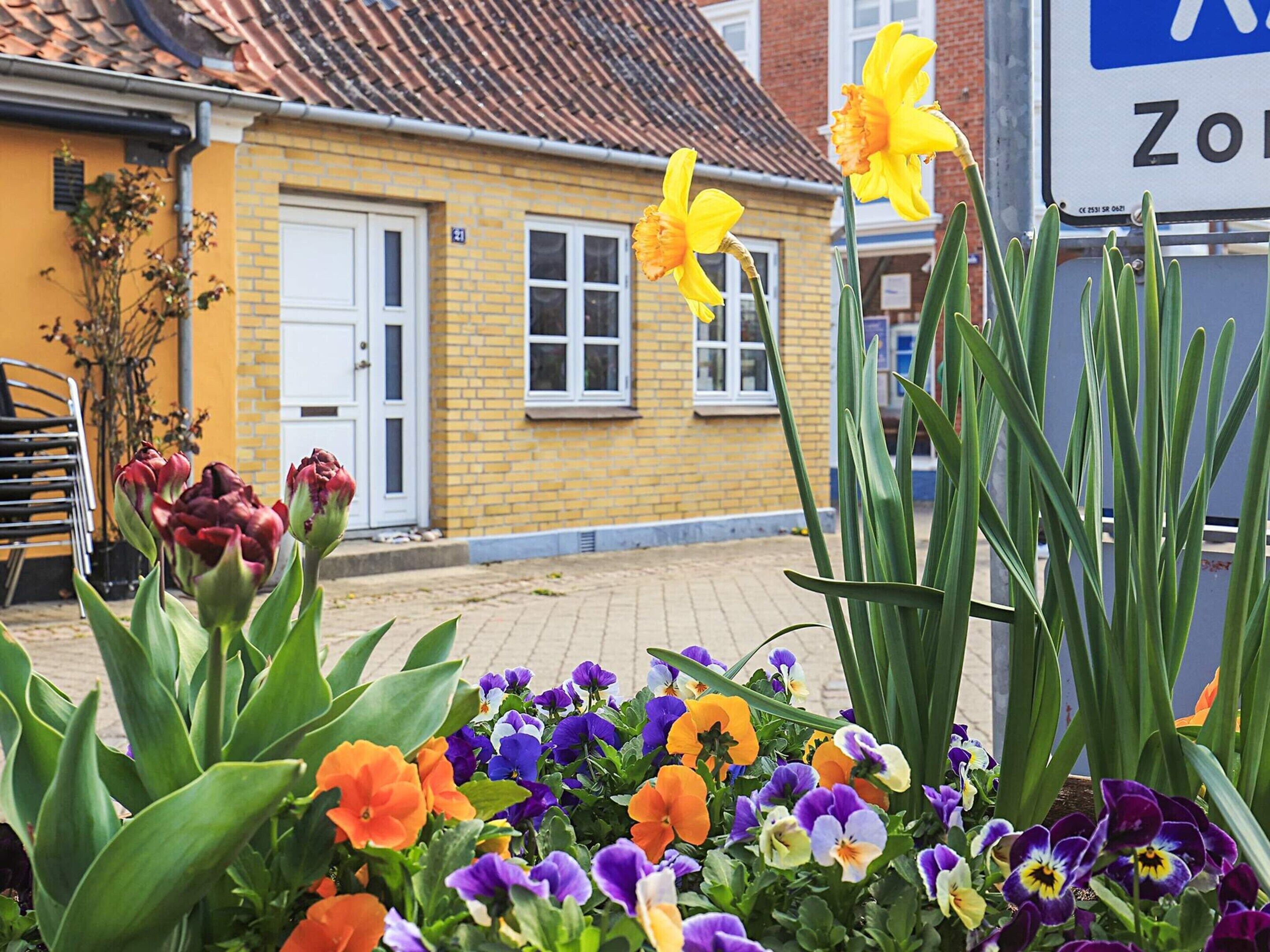 Casa | Vista dalla struttura