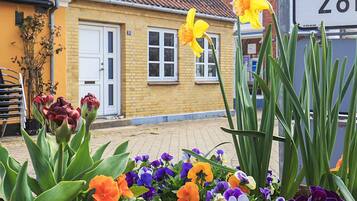 House | View from property