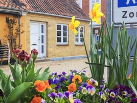 House | View from property