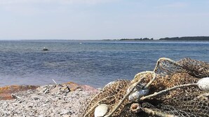 A rocky shoreline with fishing nets and a distant shoreline with trees. - 6 Person Holiday Home in Marstal (Marstal)