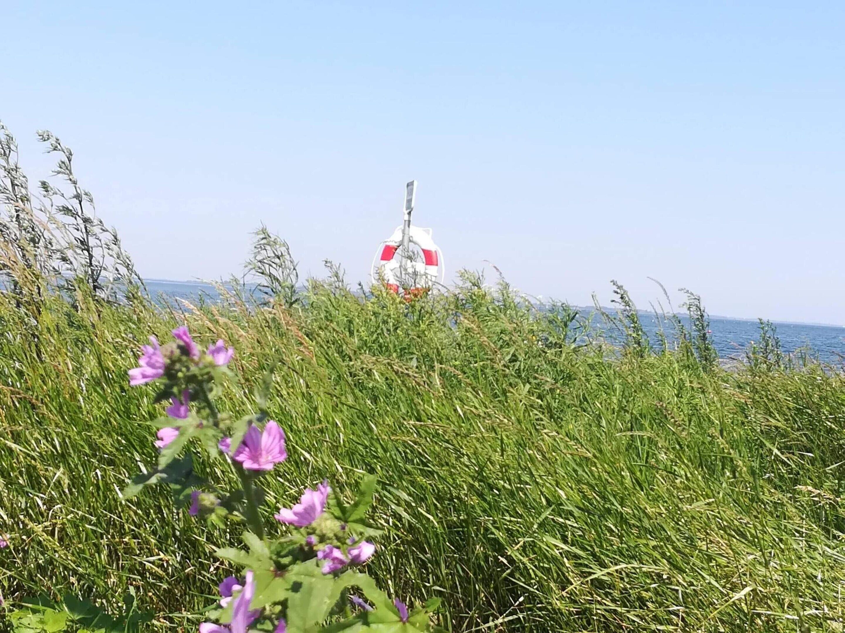 A coastal view with a red and white buoy in the distance, surrounded by tall grass and purple flowers.