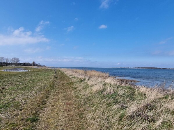 A grassy path beside a calm body of water, with a clear sky above. - 6 Person Holiday Home in Marstal (Marstal)