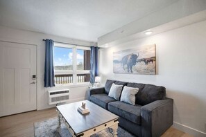 Fernseher, Arbeitsbereiche