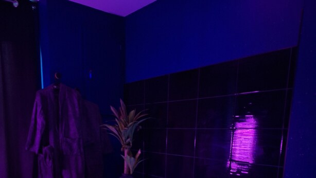 Een moderne badkamer met een vrijstaand bad, een potplant en een handdoekhouder.
