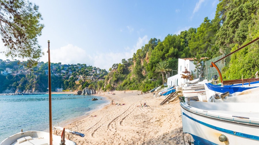 Apartment in Lloret de Mar Near Fanals Beach