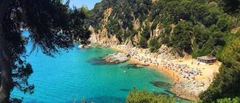 A coastal landscape with a beach, rocky cliffs, and dense greenery.