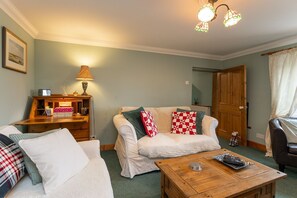 Télévision, cheminée, lecteur de DVD