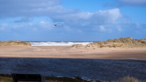 Ein Strand mit einer Bank, Wellen und Dünen.