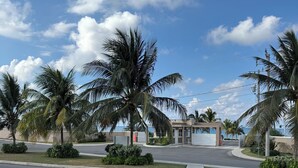 A well-maintained road with palm trees and a sidewalk lined with flowering bushes.