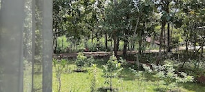 Vista des de l'habitació