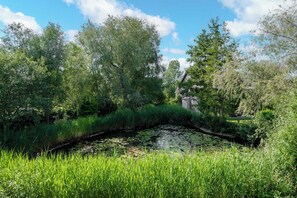 المنطقة المحيطة بالمنشأة