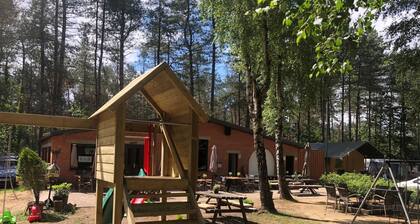 Peaceful Woodland Chalet