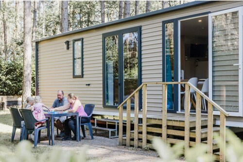 Peaceful Woodland Chalet
