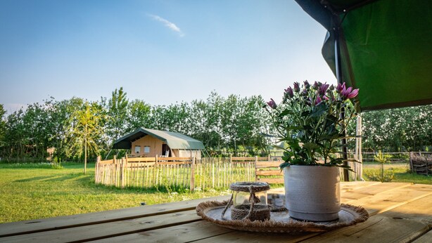 Une table en bois, sur laquelle se trouvent un pot de fleurs et un bocal en verre.