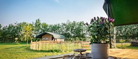 Tent | Balkoni