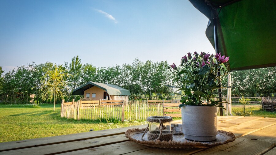 Safari Lodge on a Cozy Site With 3 Tents