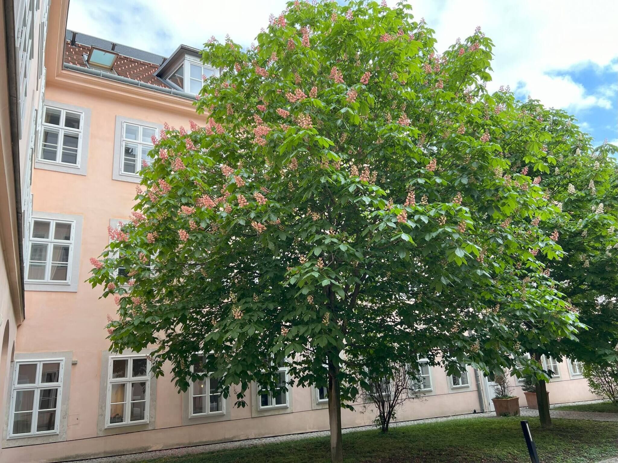 Apartment, 1 Bedroom | Exterior