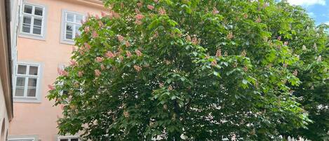 Apartment, 1 Bedroom | Exterior