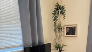 Huoneessa on valkoinen lipasto, jonka päällä on litteänäyttöinen televisio, musta tuoli, amppelissa roikkuva kasvi ja seinällä oleva kehystetty kuva.