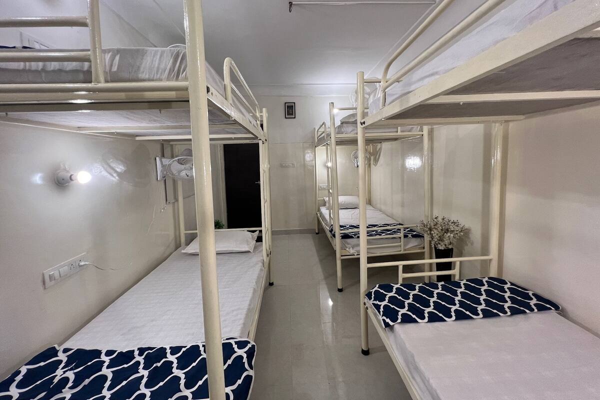 A dormitory room with bunk beds, a bedside fan, and a small plant.