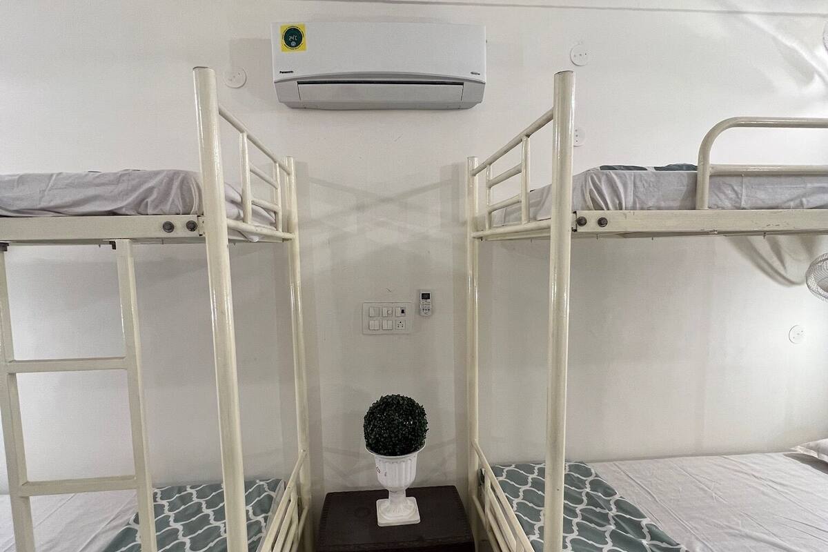 A bunk bed room with a small table and a potted plant.