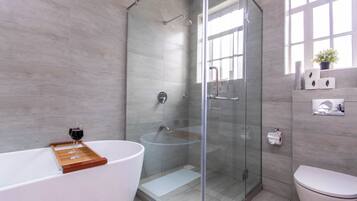 Douche, séchoir à cheveux, bidet, serviettes fournies
