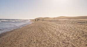 Nära stranden