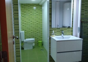 Hair dryer, bidet, towels, toilet paper