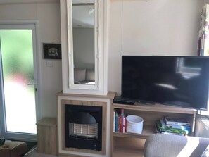Televisión, chimenea y libros