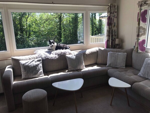 Tv, eldstad och böcker