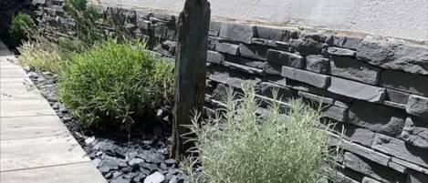 A garden bed with plants and a stone wall.