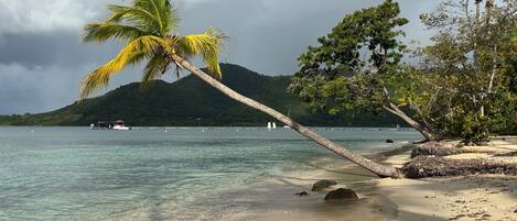 Nära stranden, solstolar och strandhanddukar