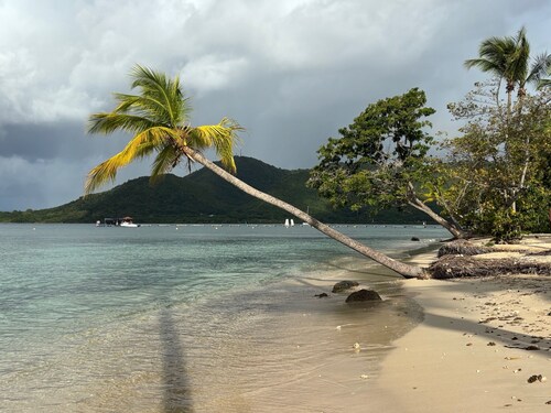 Horizon Caraïbes - Vue panoramique sur la baie de Sainte-Anne