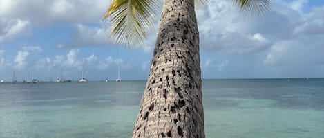 Nær stranden, solsenger og strandhåndklær