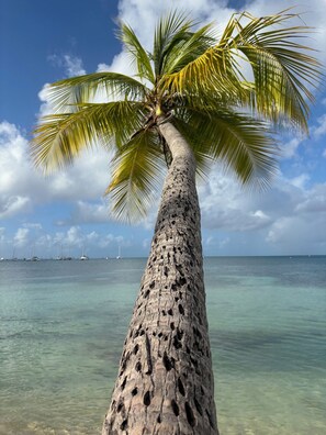 Beach nearby, sun-loungers, beach towels