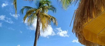 STUDIO 200 M FROM THE MOST BEAUTIFUL SOUFFLEUR BEACH IN PORT LOUIS