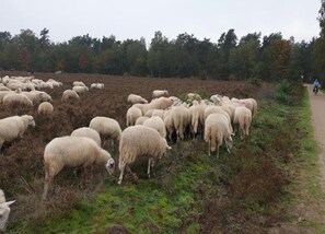 Nhà | Quang cảnh nhìn từ nơi lưu trú