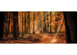 Nhà | Quang cảnh nhìn từ nơi lưu trú