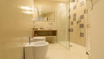 Shower, hair dryer, bidet, towels