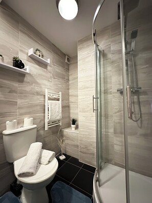 Shower, hair dryer, bidet, towels