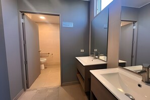 Secadora de cabello, toallas, papel de baño