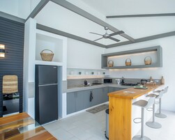 Full-size fridge, microwave, stovetop, electric kettle