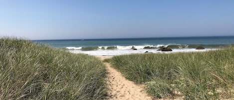 Camastros y toallas de playa